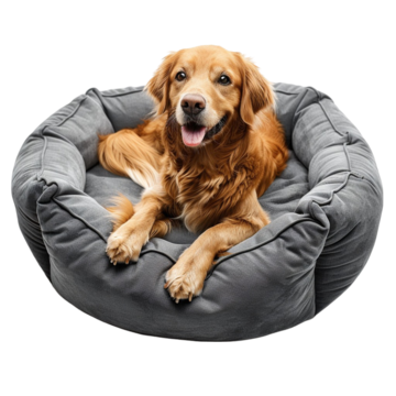 pngtree-pawhut-dog-bed-png-image_12475344